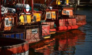 Inmigracion Italiana En Argentina Barcos En Puerto