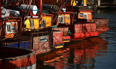 Inmigracion Italiana En Argentina Barcos En Puerto