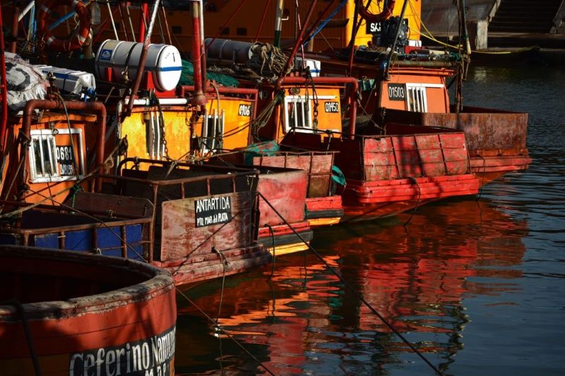 Inmigracion Italiana En Argentina Barcos En Puerto