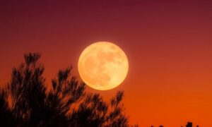 Luna Llena