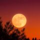 Luna Llena