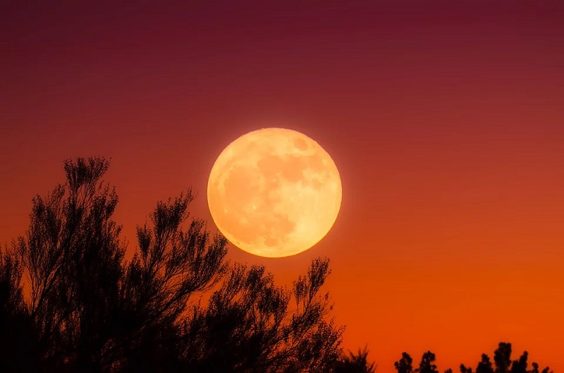 Luna Llena