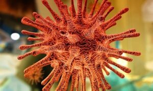 Coronavirus