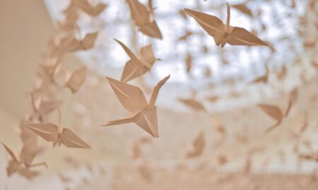 Paper Cranes