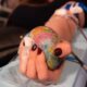 Donaciones De Sangre Donante Globo Terraqueo Mano