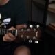 Guitarra