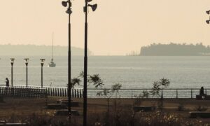 Paisaje De La Costa