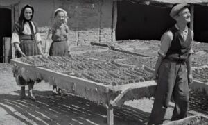 Trabajadores De Antes