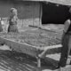Trabajadores De Antes