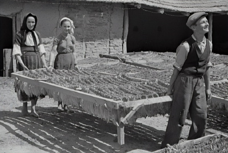Trabajadores De Antes