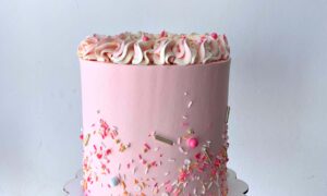 Torta Modelo