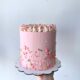 Torta Modelo
