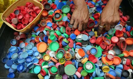 Reciclado De Tapas De Botellas