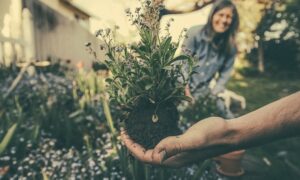 Cuidado Del Jardin