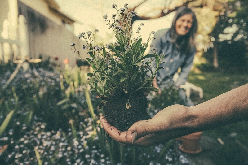 Cuidado Del Jardin