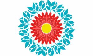 Escarapela Provincia De Buenos Aires Bicentenario