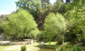Lago Verde