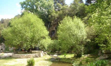 Lago Verde