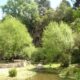 Lago Verde