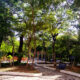 Plaza Italia