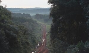 Caminos De Tierra