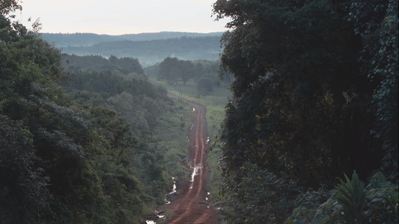 Caminos De Tierra