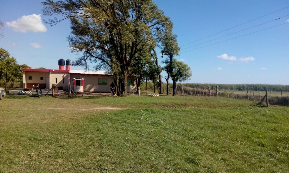 Colegio Hipolito Irigoyen