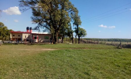 Colegio Hipolito Irigoyen