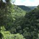 Valle
