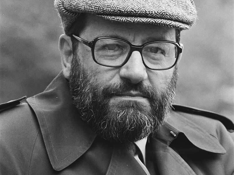 Genio De La Literatura