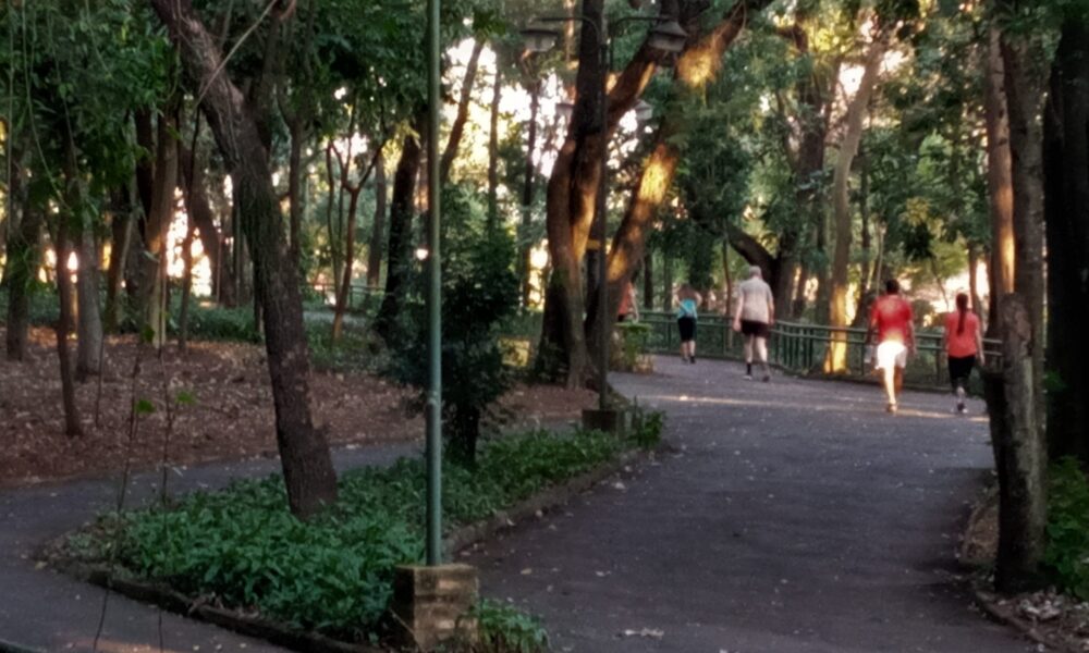 Parque De La Salud C Silvano Malini