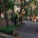 Parque De La Salud C Silvano Malini
