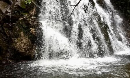 Reserva Natural La Cascada
