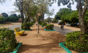Bulevar Principal Frente A Muni Buena