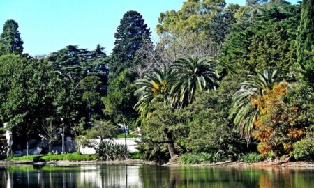 Paseo Del Bosque