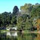 Paseo Del Bosque