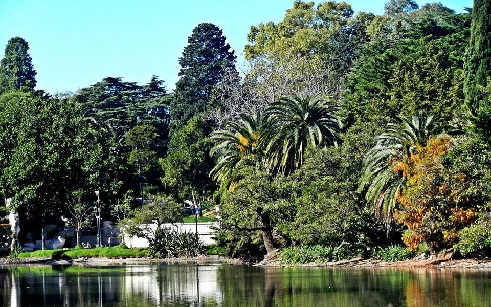 Paseo Del Bosque