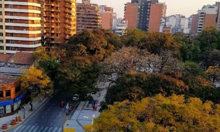 Adolfo Lazarte. Barrio Norte
