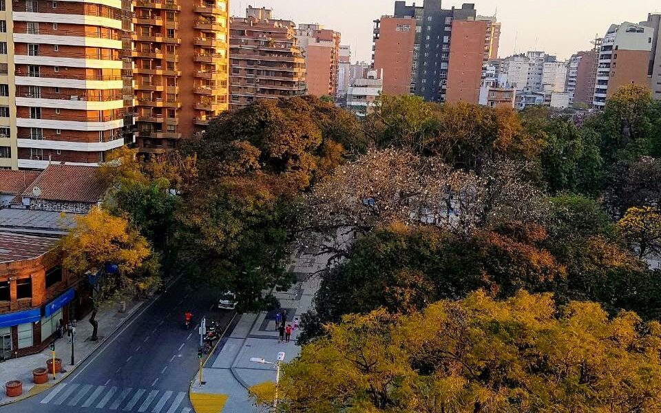 Adolfo Lazarte. Barrio Norte