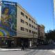 Mural En Estrella Y Palma