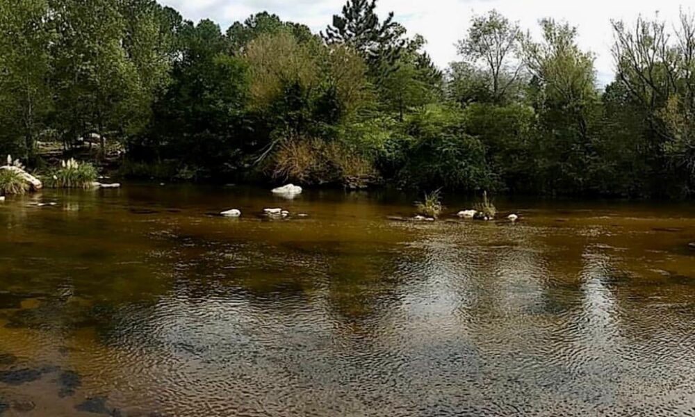 Los Reartes