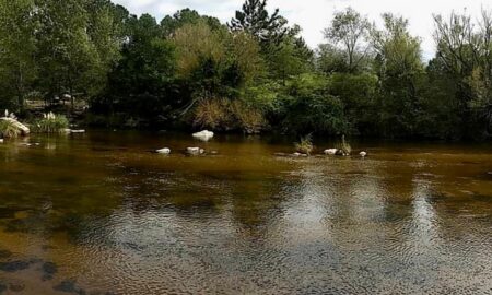 Los Reartes