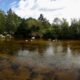 Los Reartes