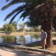 Parque