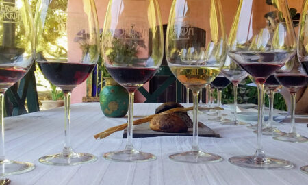 Variedades Italianas Copas De Vino