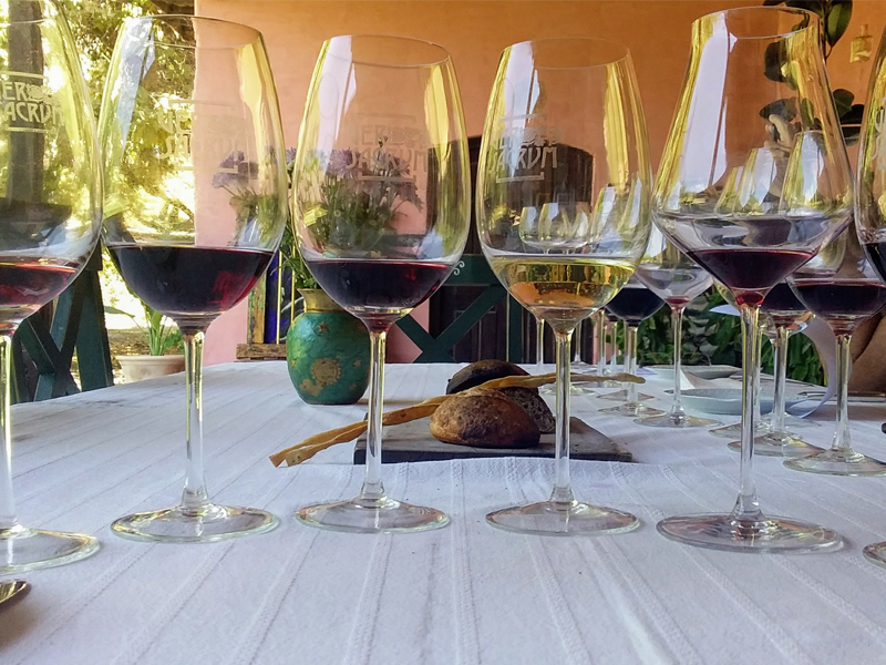 Variedades Italianas Copas De Vino