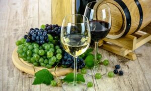 Vino
