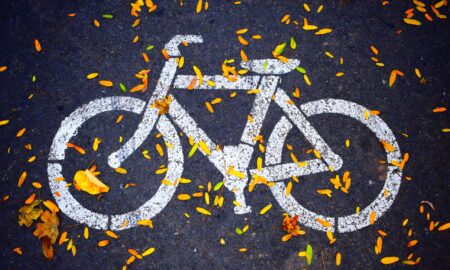 Ejemplo Ciclovia