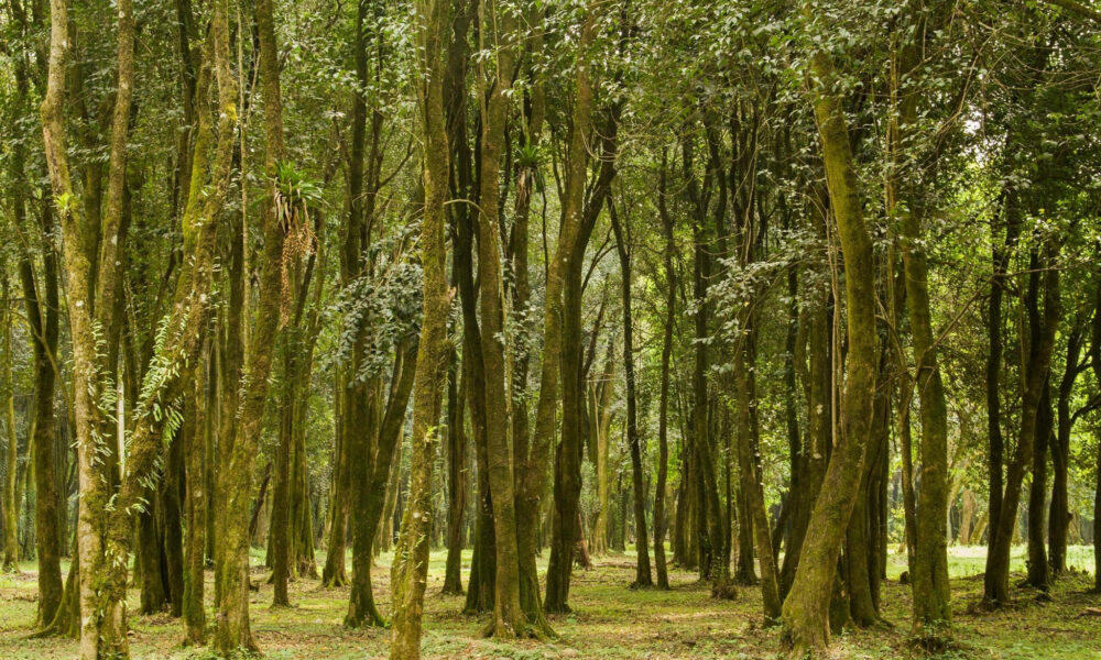 Naturaleza Tucumana2