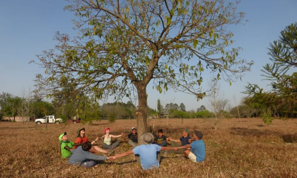 Fundacion Foresar Amor A La Naturaleza